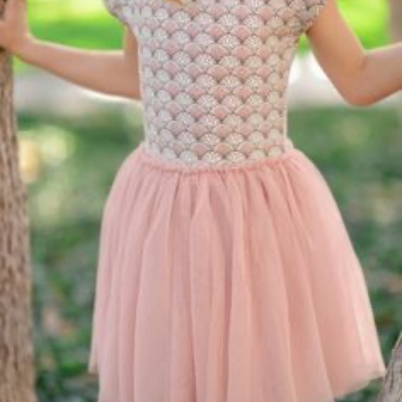 Taylor Joelle Size 4 Light Pink Tutu Dress - Picture 2 of 3